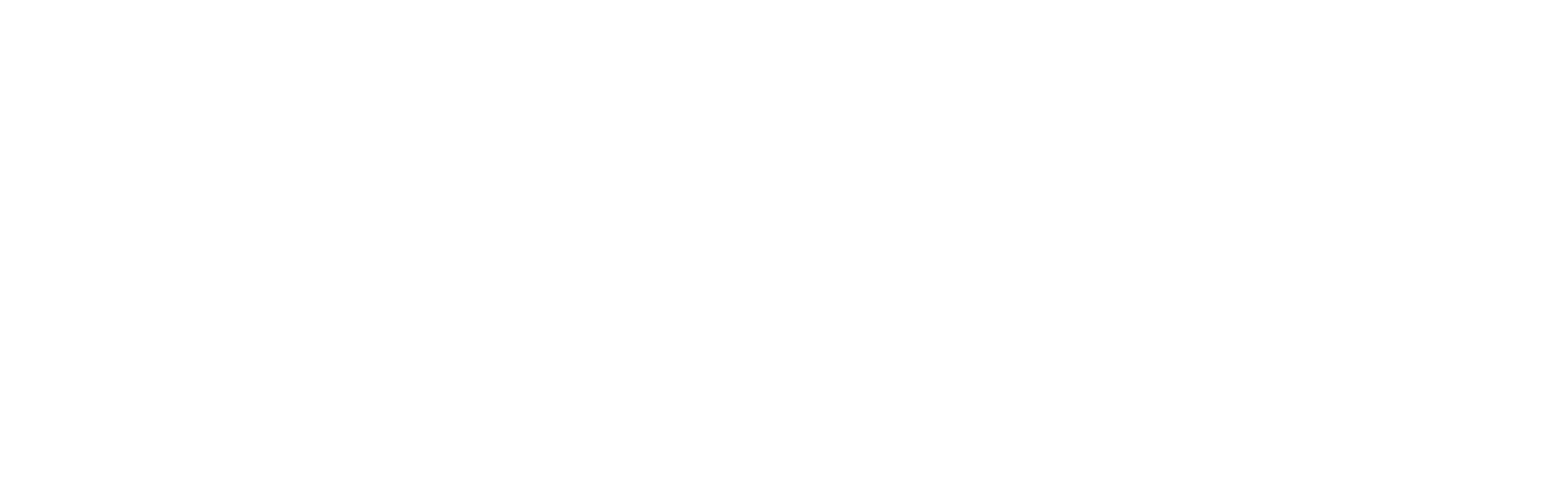DLP_Logo_Horizontal_white